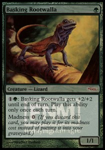 Basking Rootwalla Basking Rootwalla