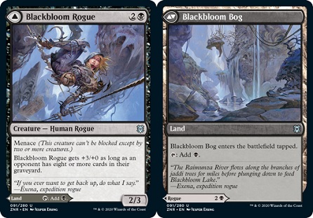 Image of the Magic card Blackbloom Rogue