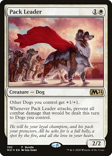Image of the Magic card Pack Leader